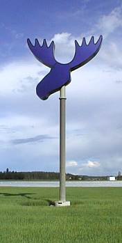 TOINEN HIRVI 01 07 2000